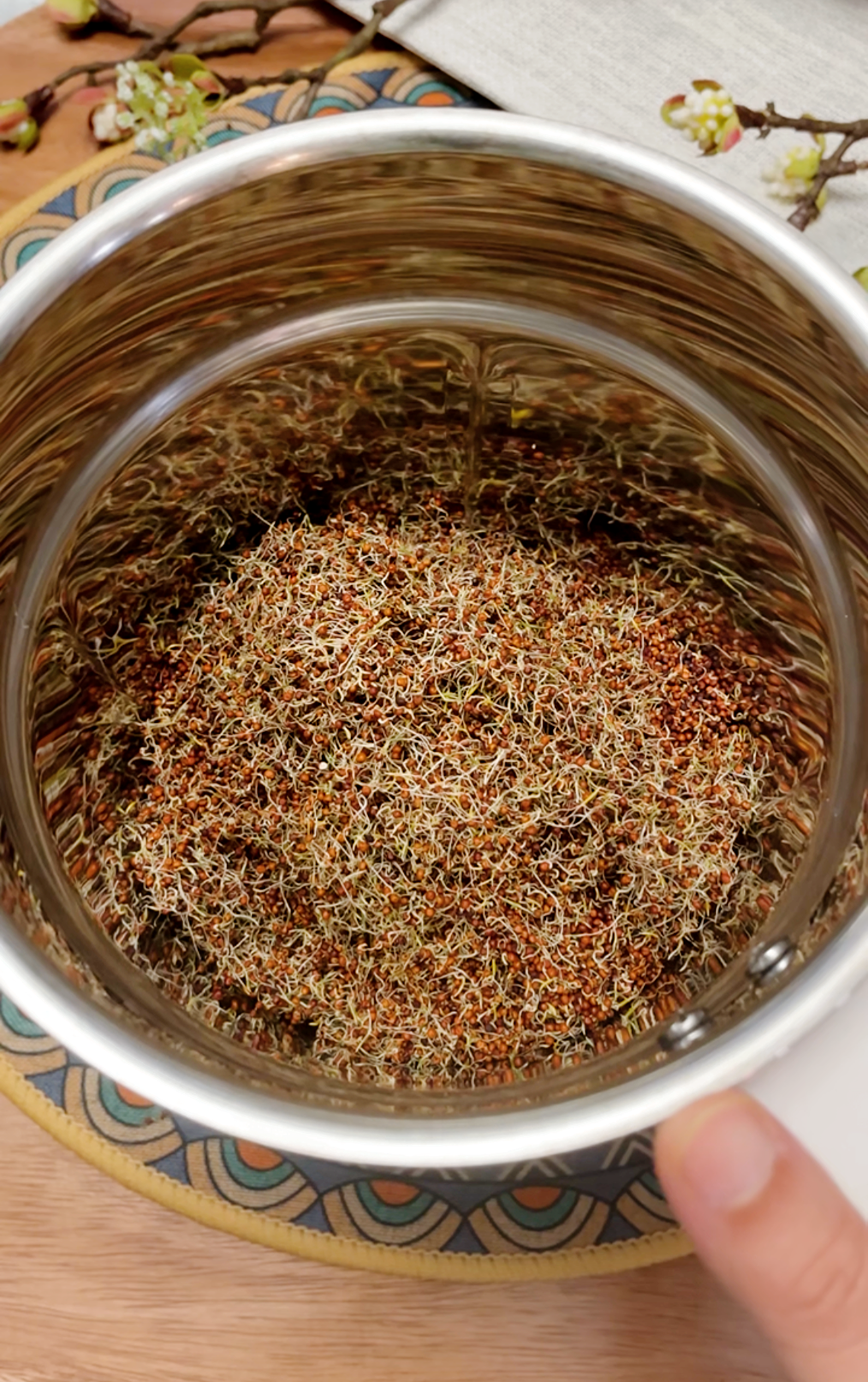 Sun-dried and lightly roasted ragi grains ready to be ground into flour