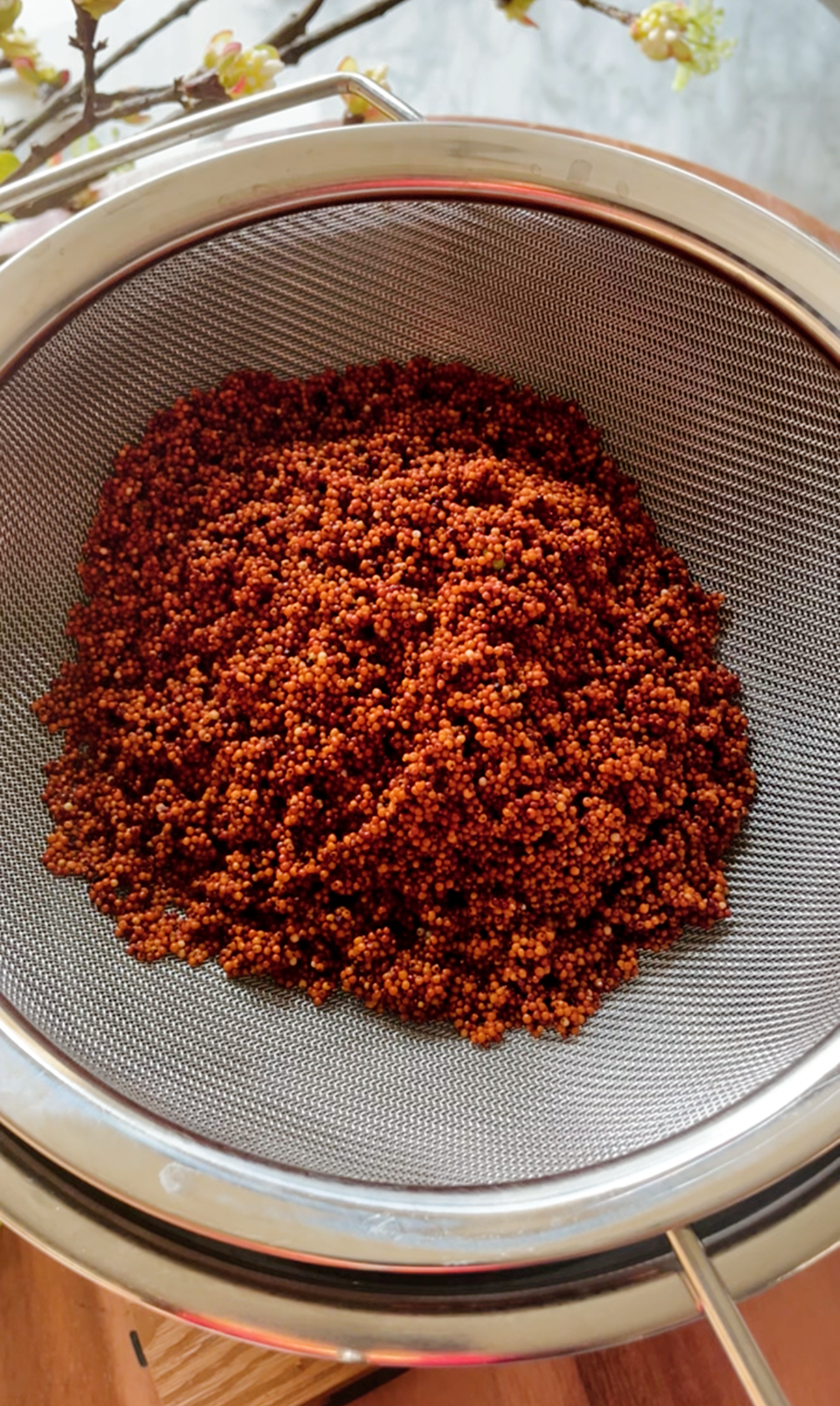 Finger millet spread in a strainer to drain water and begin sprouting