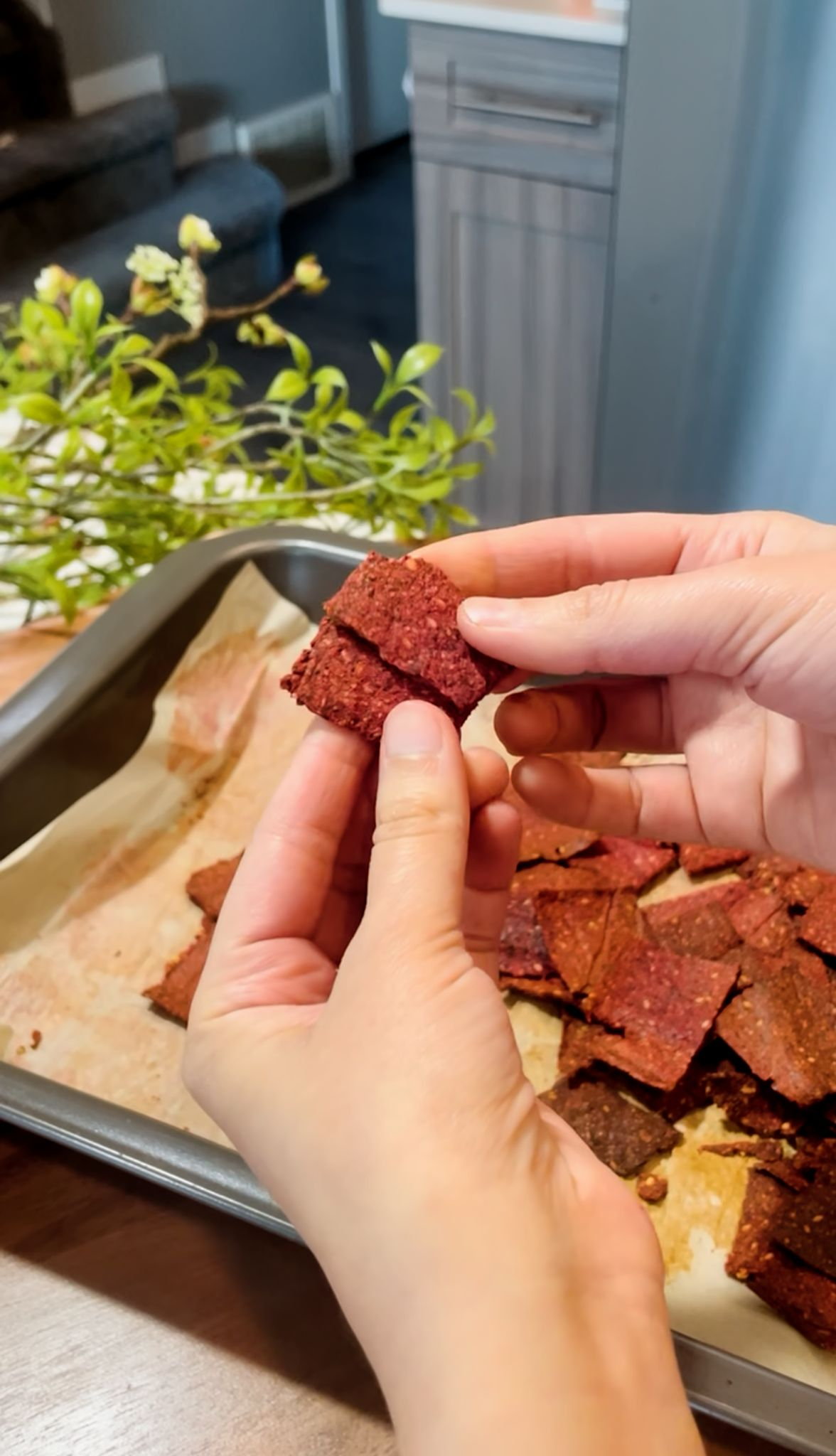 Holding beetroot cracker snack for toddlers for a closeup shot