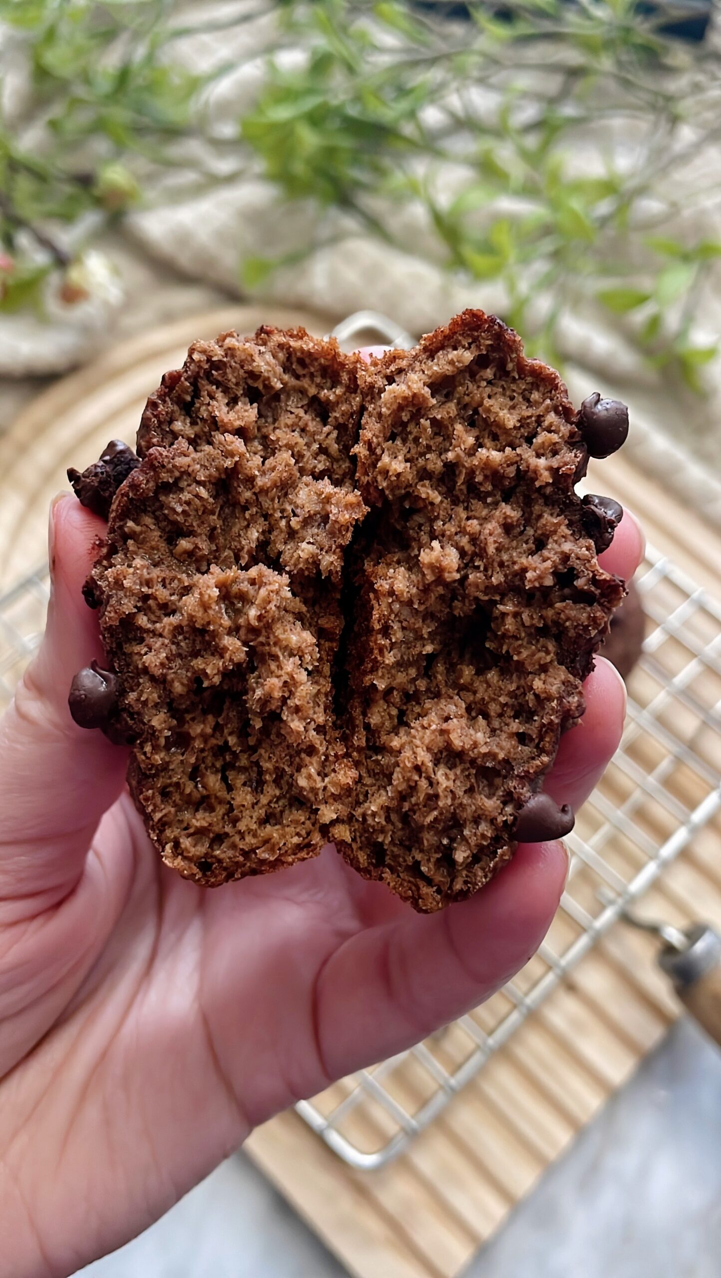 A beetroot choco muffin broken open to show its soft texture